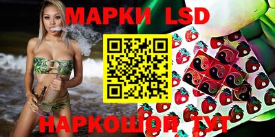 PSILOCYBIN Пугачёв